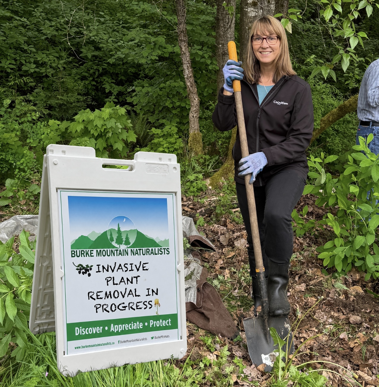 Volunteering with Burke Mountain Naturalists - Removing Invasive Plants